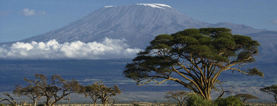 2024 Kili Quest